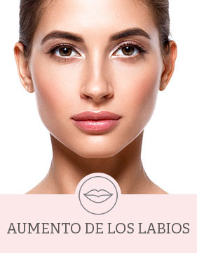 labios Banner